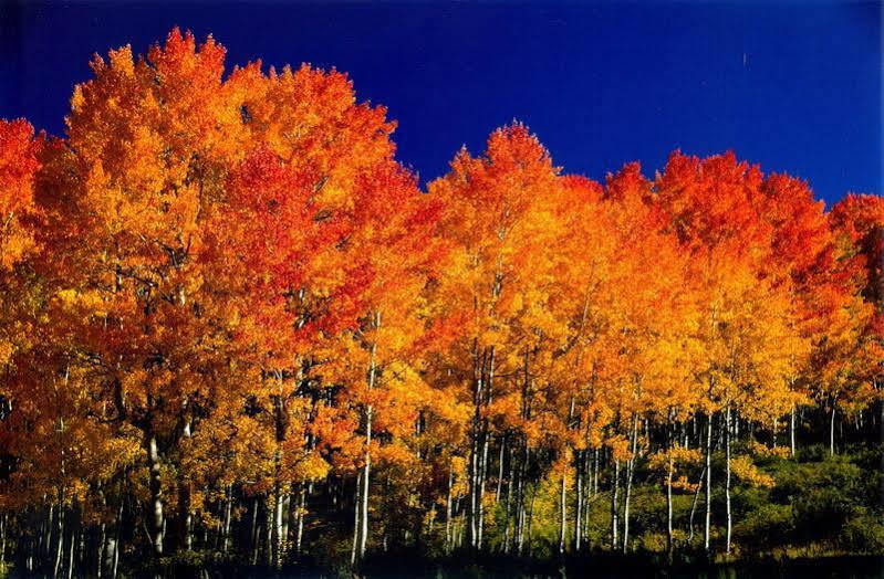 Fairfield Inn And Suites By Marriott Colorado Springs North Air Force Academy Gleneagle Esterno foto